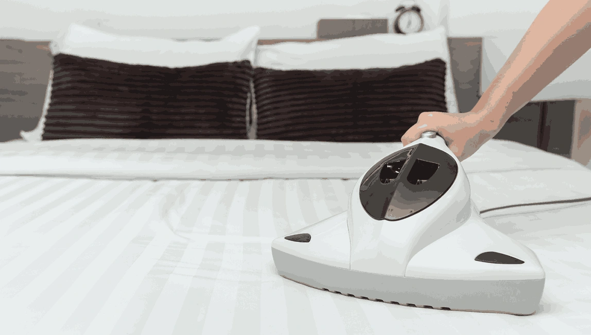 Professional Mattress Cleaning Bareena